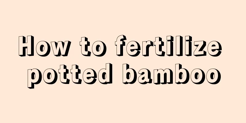 How to fertilize potted bamboo