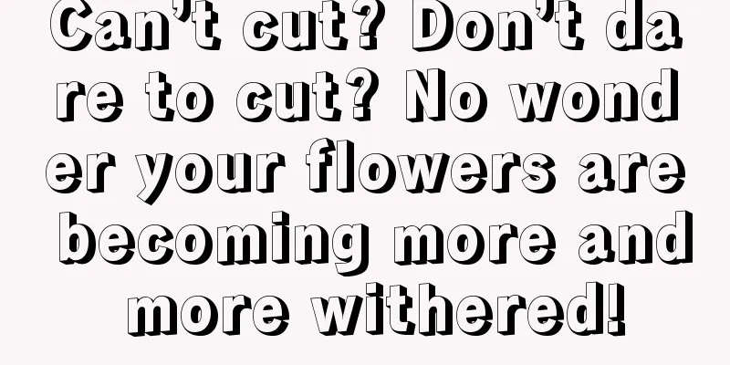 Can’t cut? Don’t dare to cut? No wonder your flowers are becoming more and more withered!