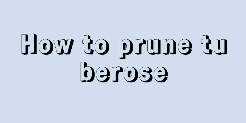 How to prune tuberose