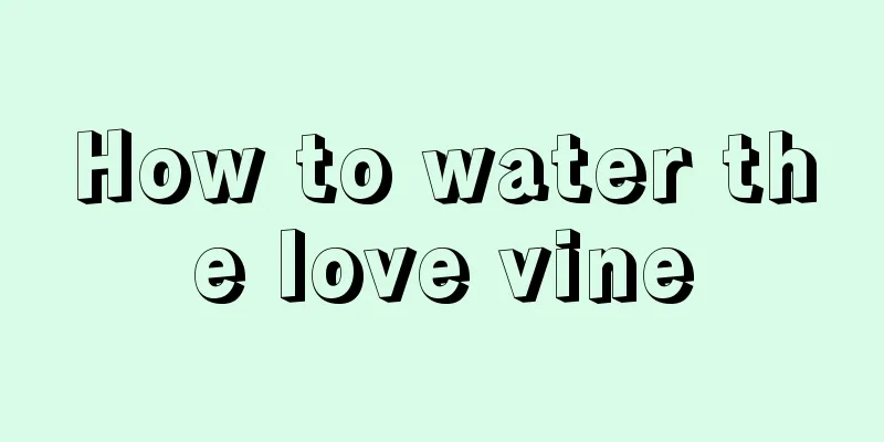 How to water the love vine