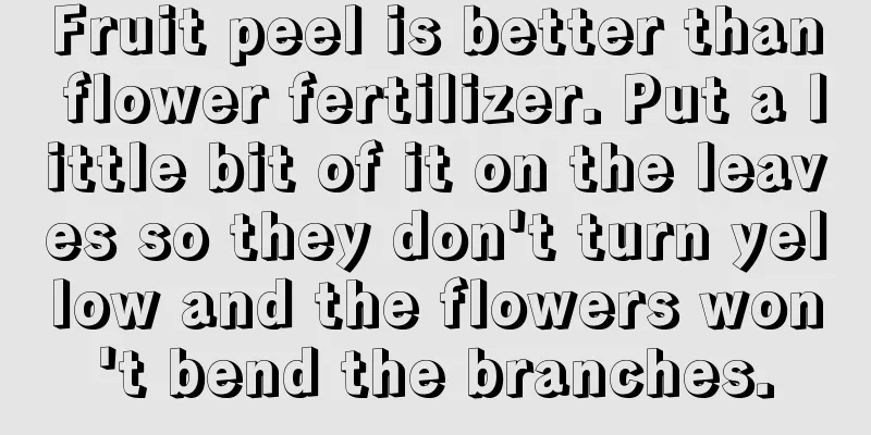 Fruit peel is better than flower fertilizer. Put a little bit of it on the leaves so they don't turn yellow and the flowers won't bend the branches.