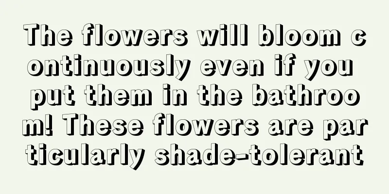 The flowers will bloom continuously even if you put them in the bathroom! These flowers are particularly shade-tolerant