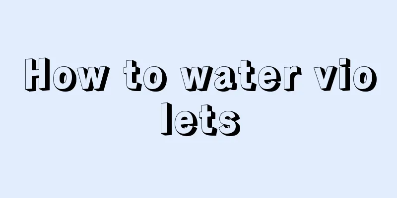 How to water violets