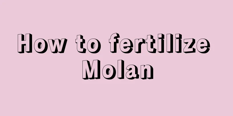 How to fertilize Molan