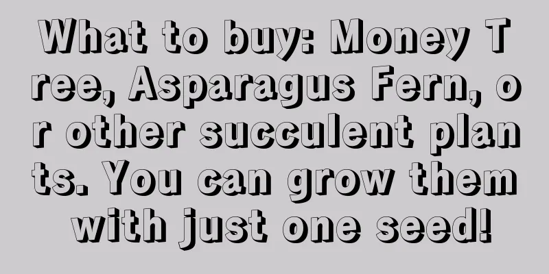 What to buy: Money Tree, Asparagus Fern, or other succulent plants. You can grow them with just one seed!