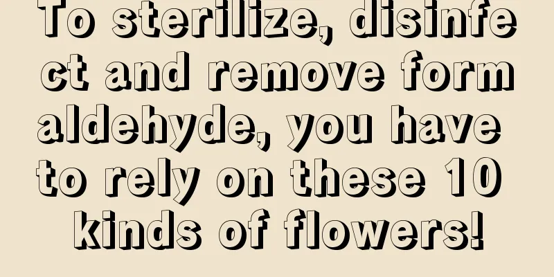 To sterilize, disinfect and remove formaldehyde, you have to rely on these 10 kinds of flowers!