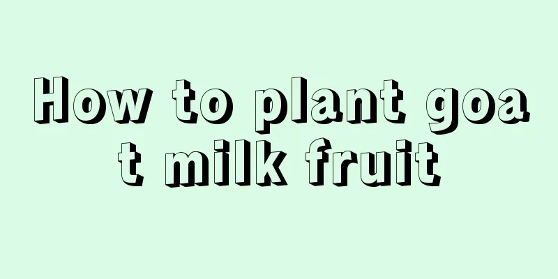 How to plant goat milk fruit