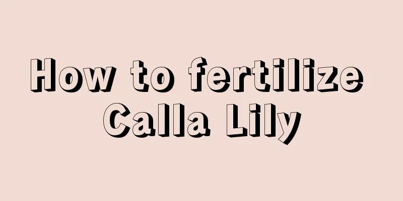 How to fertilize Calla Lily