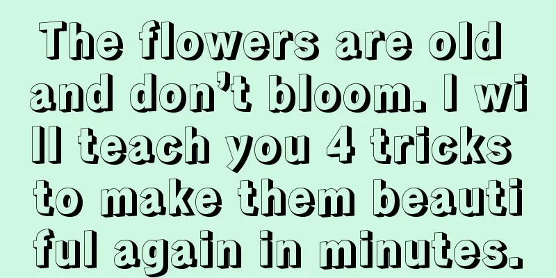 The flowers are old and don’t bloom. I will teach you 4 tricks to make them beautiful again in minutes.