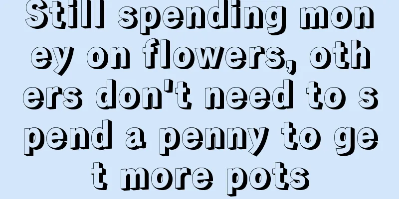 Still spending money on flowers, others don't need to spend a penny to get more pots