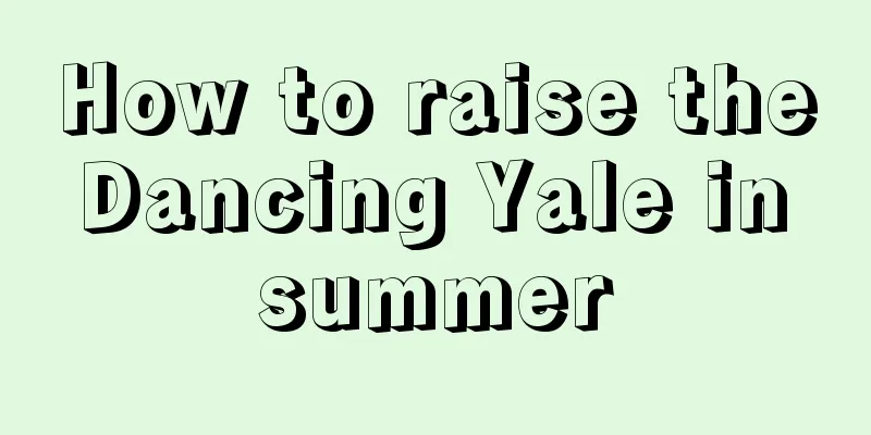 How to raise the Dancing Yale in summer