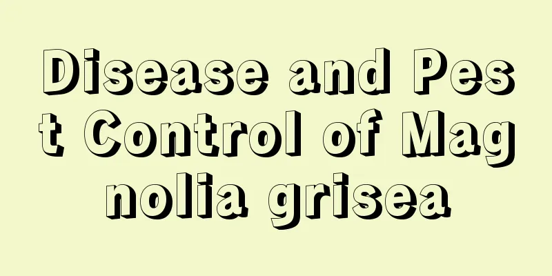 Disease and Pest Control of Magnolia grisea