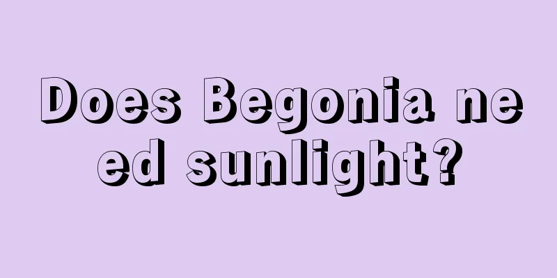 Does Begonia need sunlight?