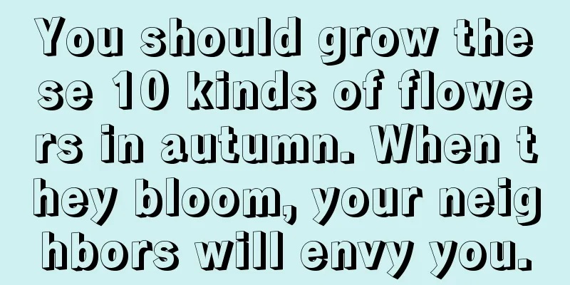 You should grow these 10 kinds of flowers in autumn. When they bloom, your neighbors will envy you.