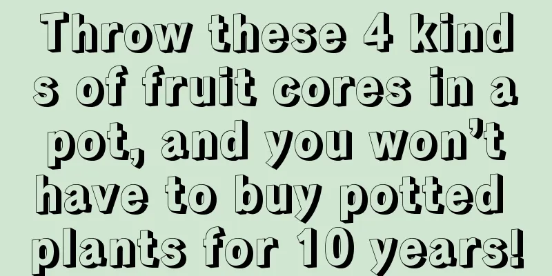 Throw these 4 kinds of fruit cores in a pot, and you won’t have to buy potted plants for 10 years!