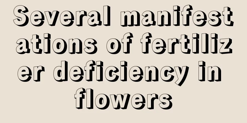 Several manifestations of fertilizer deficiency in flowers