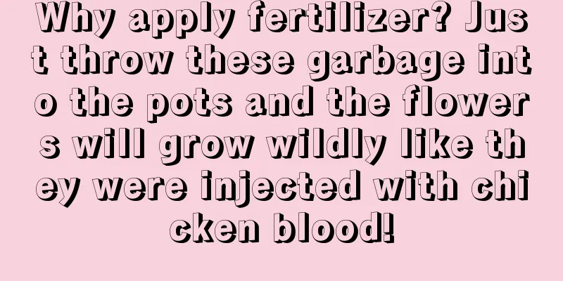 Why apply fertilizer? Just throw these garbage into the pots and the flowers will grow wildly like they were injected with chicken blood!