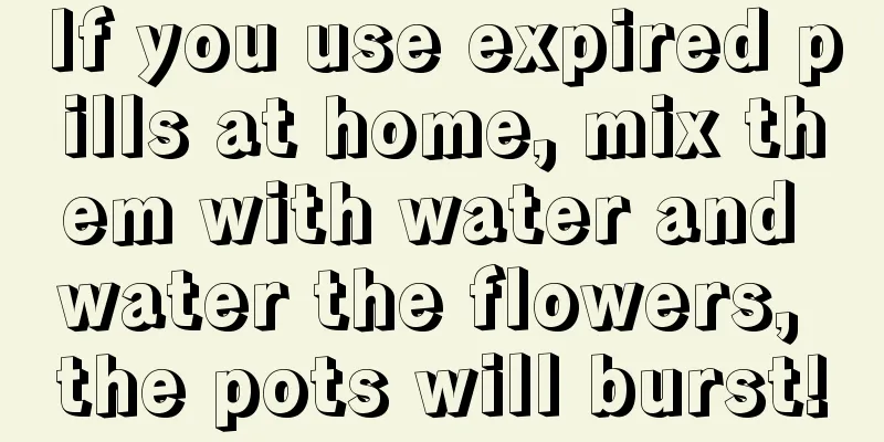 If you use expired pills at home, mix them with water and water the flowers, the pots will burst!