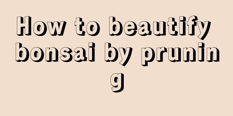 How to beautify bonsai by pruning