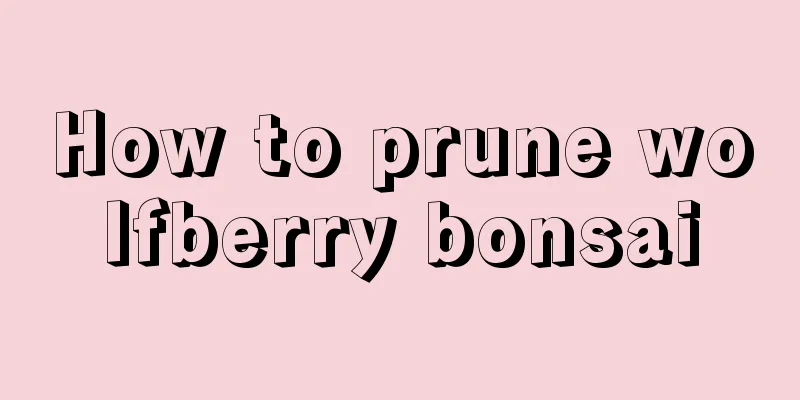 How to prune wolfberry bonsai