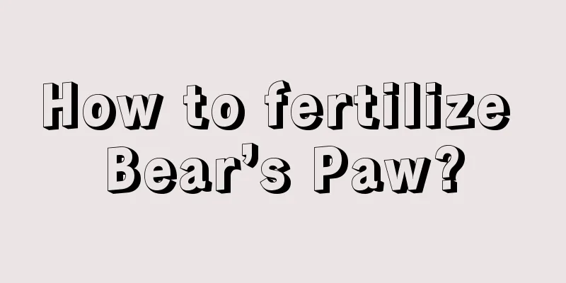 How to fertilize Bear’s Paw?