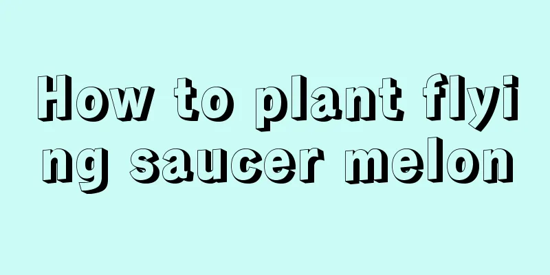 How to plant flying saucer melon