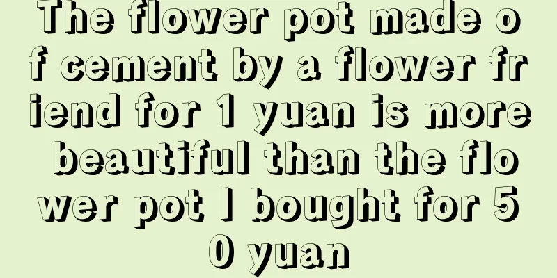 The flower pot made of cement by a flower friend for 1 yuan is more beautiful than the flower pot I bought for 50 yuan