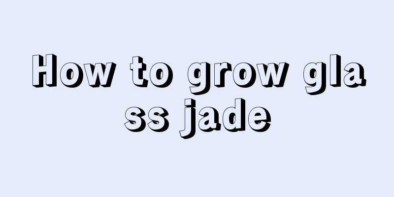 How to grow glass jade