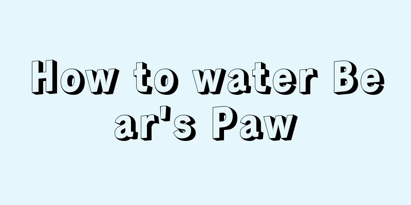 How to water Bear's Paw