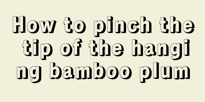 How to pinch the tip of the hanging bamboo plum