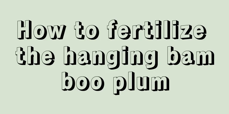 How to fertilize the hanging bamboo plum