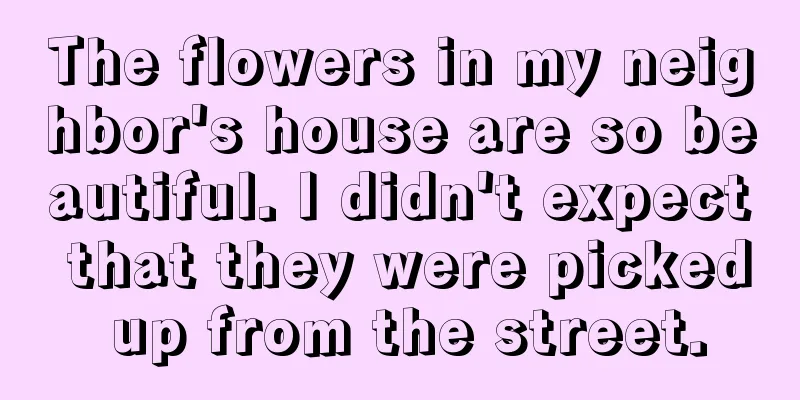 The flowers in my neighbor's house are so beautiful. I didn't expect that they were picked up from the street.