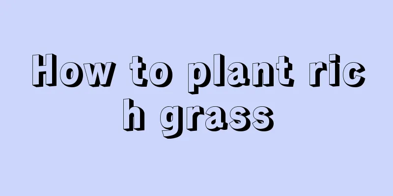 How to plant rich grass