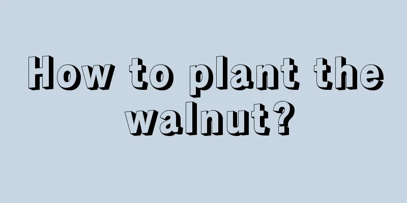 How to plant the walnut?