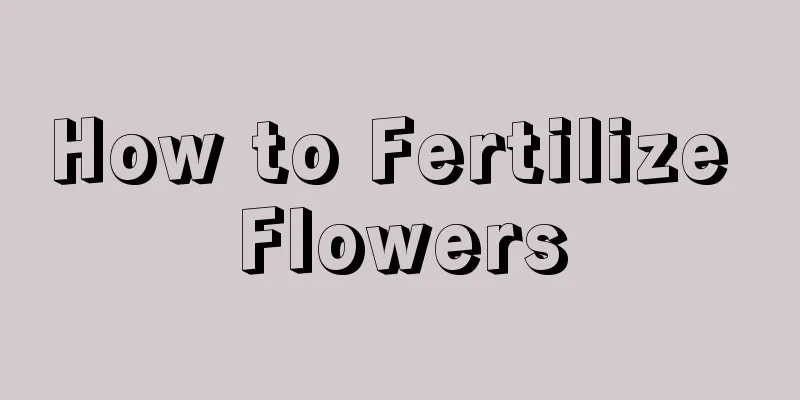 How to Fertilize Flowers