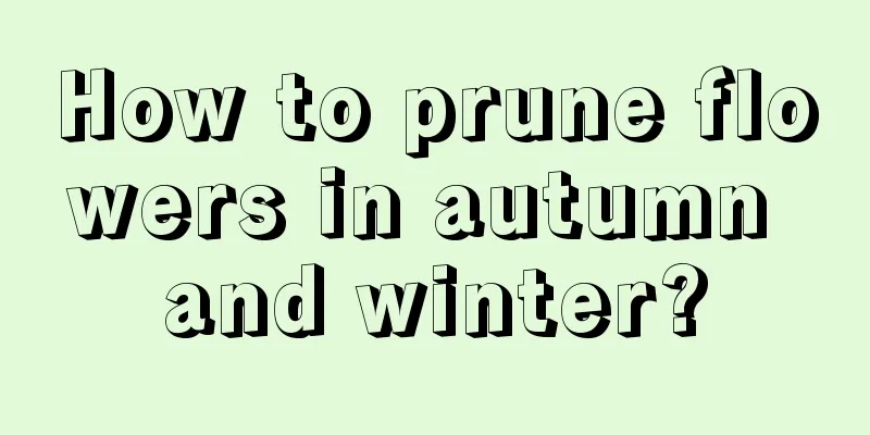 How to prune flowers in autumn and winter?