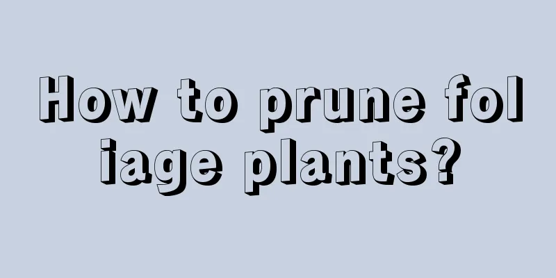 How to prune foliage plants?