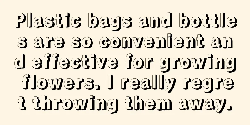 Plastic bags and bottles are so convenient and effective for growing flowers. I really regret throwing them away.