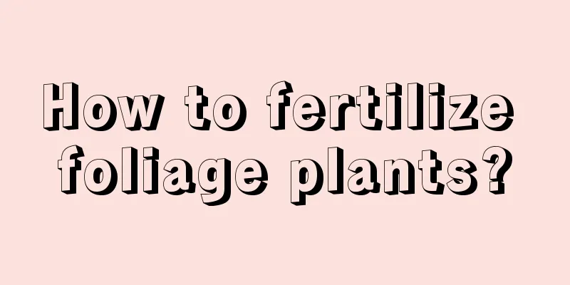 How to fertilize foliage plants?