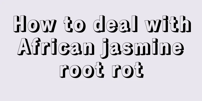 How to deal with African jasmine root rot