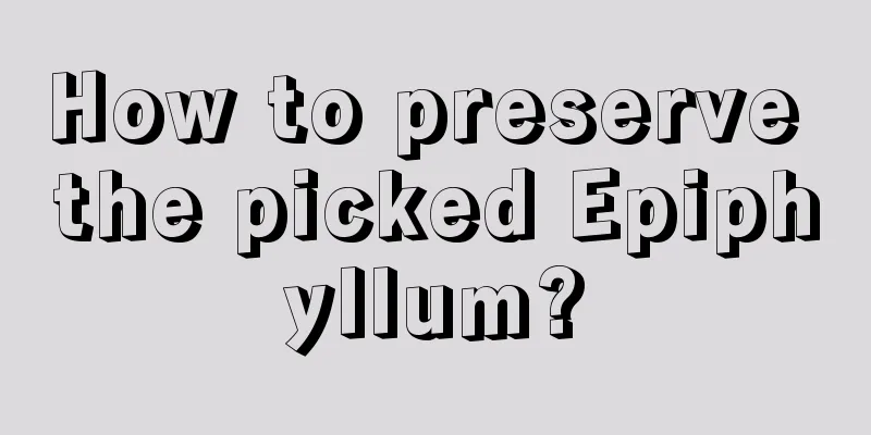 How to preserve the picked Epiphyllum?