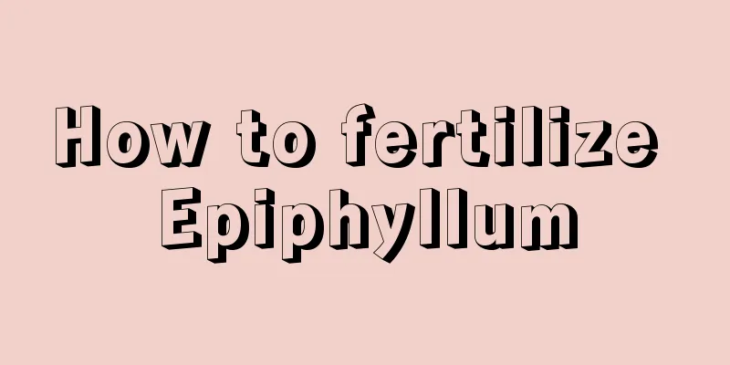 How to fertilize Epiphyllum