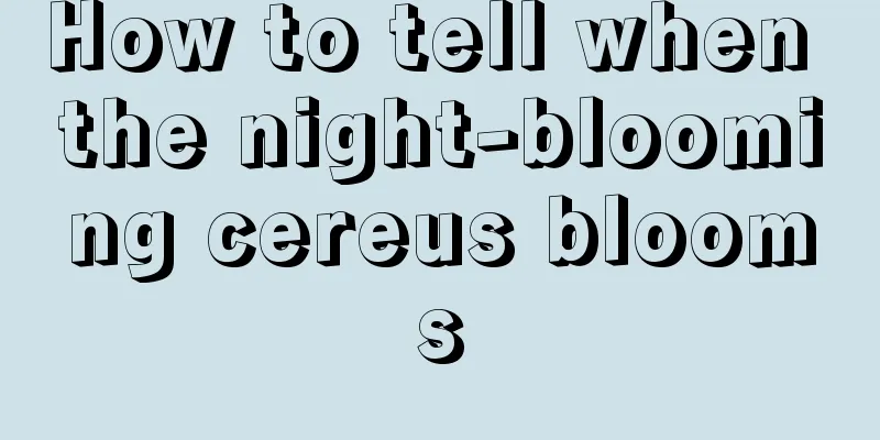 How to tell when the night-blooming cereus blooms