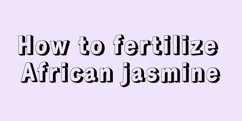 How to fertilize African jasmine