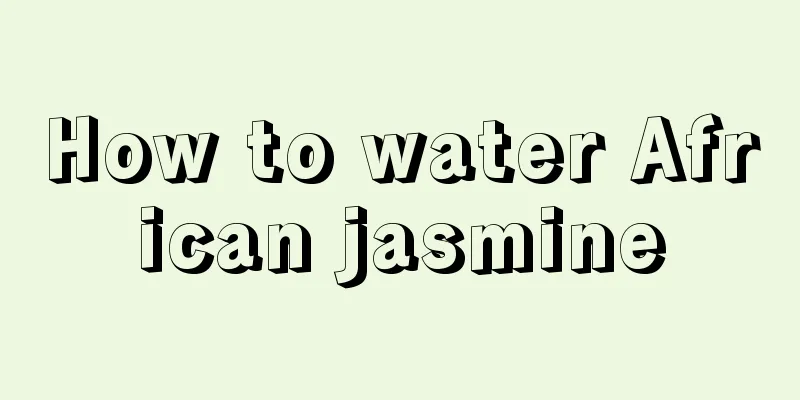 How to water African jasmine