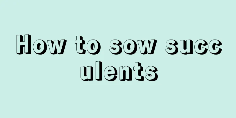 How to sow succulents