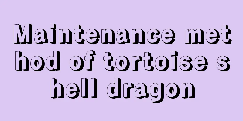 Maintenance method of tortoise shell dragon