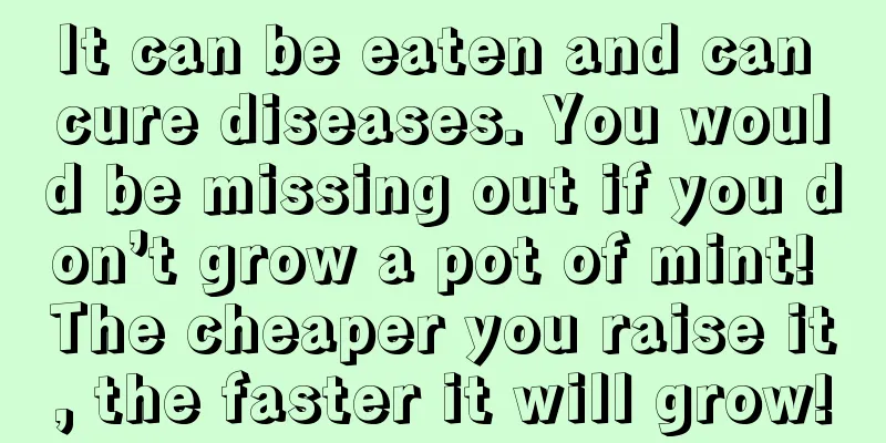 It can be eaten and can cure diseases. You would be missing out if you don’t grow a pot of mint! The cheaper you raise it, the faster it will grow!