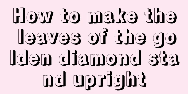 How to make the leaves of the golden diamond stand upright