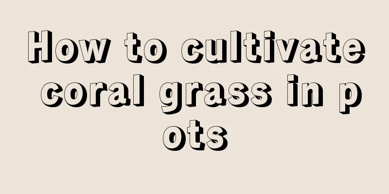 How to cultivate coral grass in pots